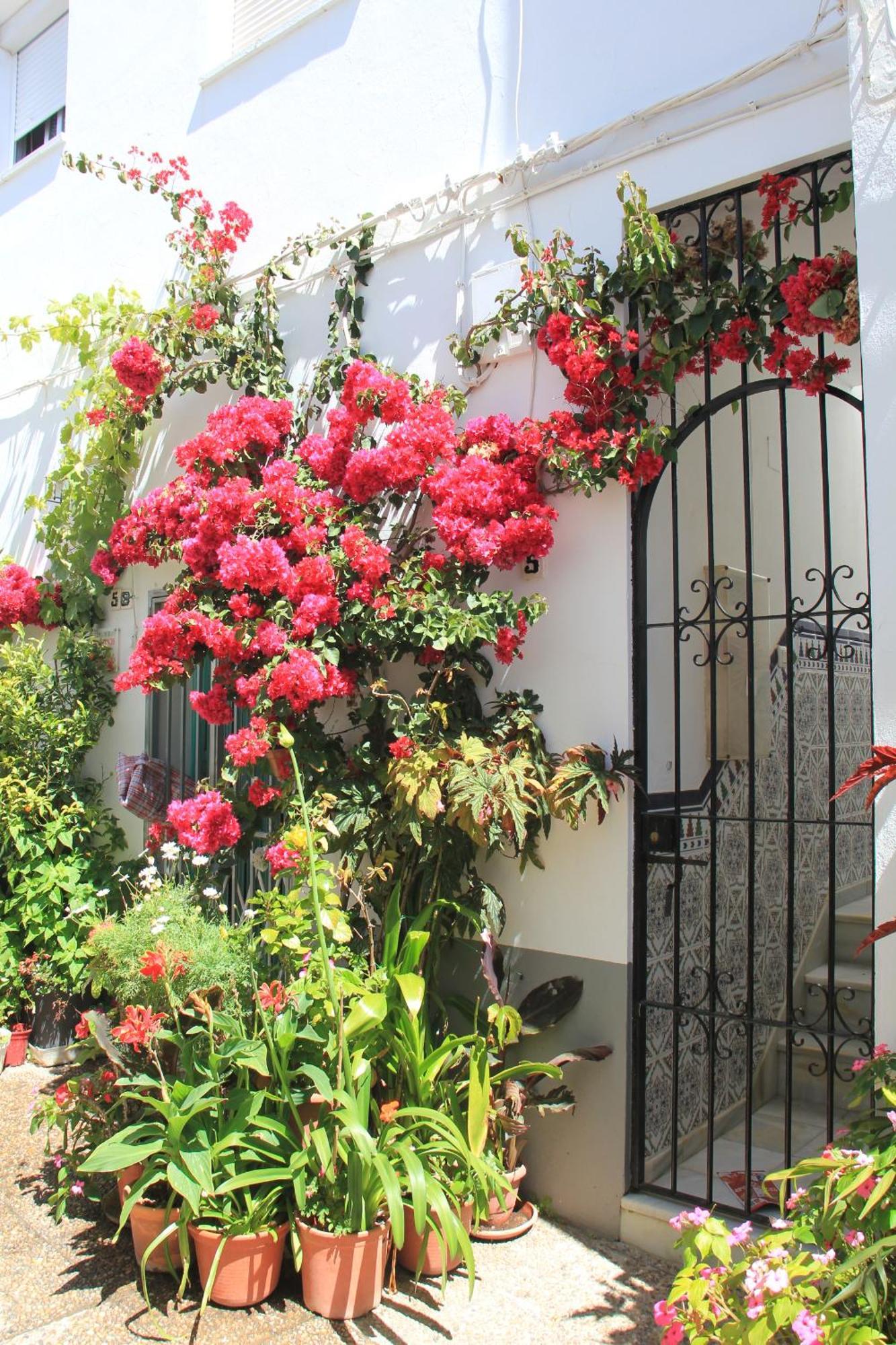 Casa Magallanes Conil Villa Conil De La Frontera Exterior foto